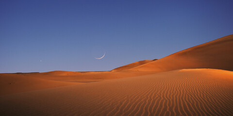 beautiful view of the desert in the evening
