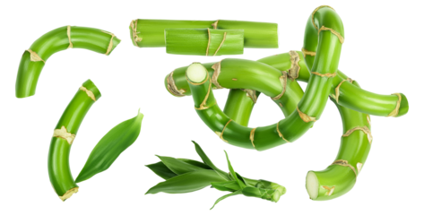 assortment of lucky bamboo segments and leaves, featuring twisted and straight sections, ideal for wellness and asian-themed design concepts.
