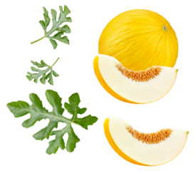 fresh brussels sprouts arranged in various configurations on a transparent background