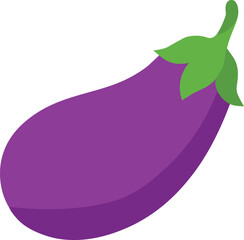 Realistic purple brinjal vegetable vector isolated healthy food design