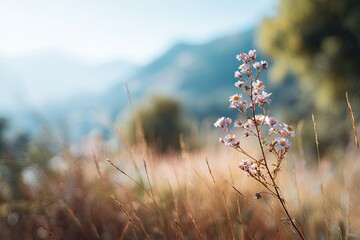 Delicate wildflowers bloom against a backdrop of distant mountains