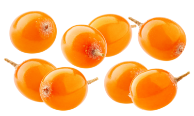 a collection of eight bright, glossy orange sea buckthorn berries arranged on a transparent background, highlighting their rich color and delicate natural stems for a vibrant.