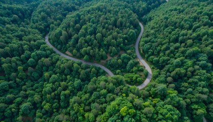 &ldquo;Aerial View of Scenic Winding Road Through Dense Green Forest and Rolling Hills, Curved Highway Landscape, Natural Wilderness, Summer Nature Travel, Environmental Conservation and Eco Tourism Concept