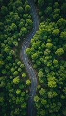 &ldquo;Aerial View of Scenic Winding Road Through Dense Green Forest and Rolling Hills, Curved Highway Landscape, Natural Wilderness, Summer Nature Travel, Environmental Conservation and Eco Tourism Concept