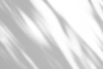 Abstract natural tree branch leaves shadow on white wall background