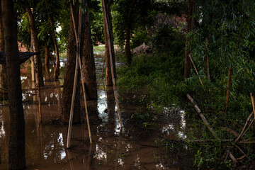 Rising Water In Rainy Flood Season.