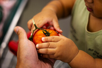 Simple Child Grasps Tomato From Mom.