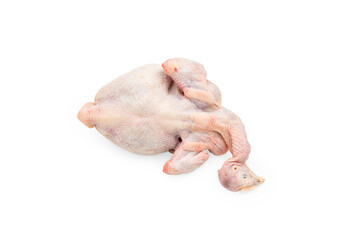 Raw of Whole Chicken: The Essence of Uncooked Poultry in Traditional Cooking and Home Food Preparation on a Transparent Background.