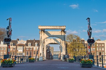 Naklejka premium The picturesque Skinny Bridge (Magere Brug) in Amsterdam, Netherlands, a traditional Dutch drawbridge spans the Amstel River. A tourist attraction of Amsterdam. Wonderful cityscape.