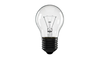 Clear Incandescent Light Bulb