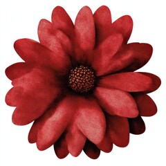 Fototapeta premium Vibrant red flower illustration