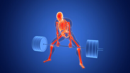 Human Lifting Heavy Barbell with Weights in Sumo Deadlift Anatomy