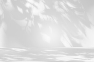 Wall interior background, studio and backdrops show products.with shadow from window color white and grey. background for text insertion and presentation product	