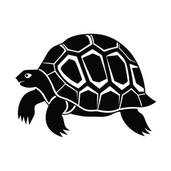 Indian star tortoise reptile vector silhouette on white background