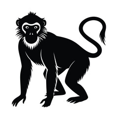 Fototapeta premium Japanese macaque snow monkey vector silhouette on white background