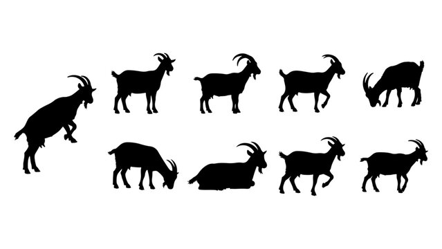 Group of 2 Objects (3).eps