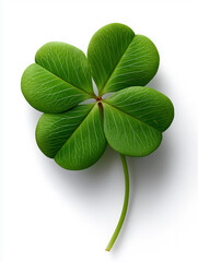 Illustration of a single, vibrant green four-leaf clover with visible veins on its leaves, set against a plain white background.