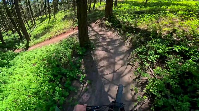 POV downhill mountain bike rider on a trail with many turns through a vibrant forest on a sunny day