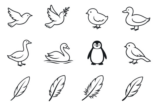 Hand drawn line art bird and feather set featuring a dove, duck, swan, penguin, chick and feathers for nature concepts