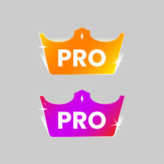 Modern vector illustration of a shiny crown with pro text. premium user status, paid membership, or professional account in mobile apps, games, or digital platforms. for UI elements upgrade badges