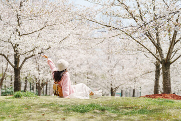 Young woman tourist relaxing and enjoying  beautiful full bloom cherry blossom on a clear spring day