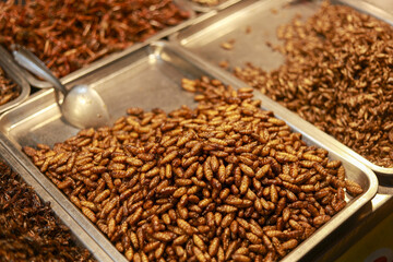 Heap of exotic fried silkworm pupa in silver tray at asian street market display showcasing...