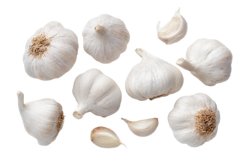 Fresh Garlic Bulbs and Cloves