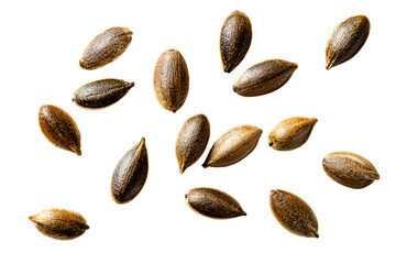 Obraz premium Close-Up of Cannabis Seeds on White Background