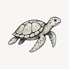 Fototapeta premium Detailed turtle sketch illustration.