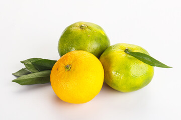 Fresh ripe sweet juicy mandarins