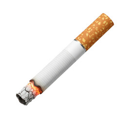 Burnt cigarette isolated on transparent background