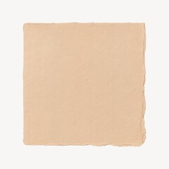 Obraz premium Vintage torn paper texture