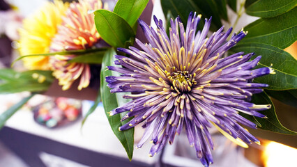 Obraz premium Vibrant Chrysanthemum Market Bouquet with Mixed Colors