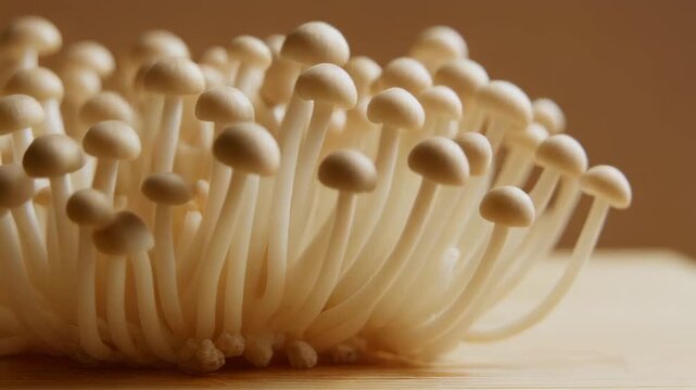 Close Up Shot Of A Cluster Of White Enoki Mushrooms