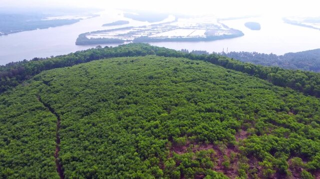 Aerial view of prawn farming ponds along the coastline, showcasing aquaculture and sustainable food production in Karnataka.
