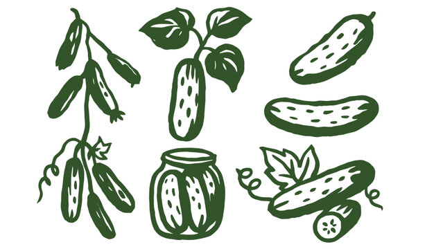 A green illustration of various pickled cucumbers and a jar