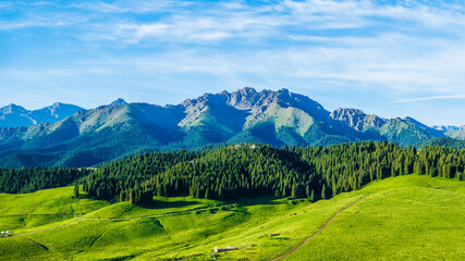 Fototapety na wymiar - Fototapeta24.pl