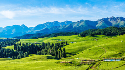 Fototapety na wymiar - Fototapeta24.pl