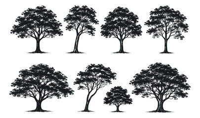 Obraz premium Hand drawn silhouette tree set featuring diverse types and shapes for nature and environment designs