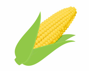 a yellow corn on the cob with green leaves