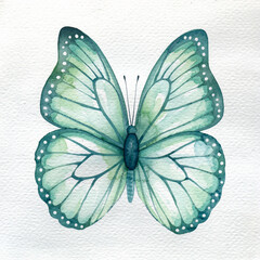 Delicate watercolor butterfly illustration with soft teal and mint green hues, capturing the serene beauty of nature's winged creatures in an artistic style, perfect for enchanting designs