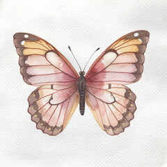Graceful watercolor butterfly illustration with intricate wing patterns in soft pastel pink, orange, and brown shades, a delicate hand-painted artwork for natural themes