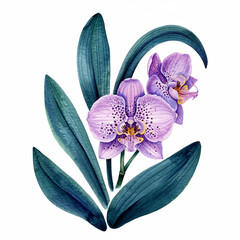 Exquisite Watercolor Illustration of a Vibrant Purple Orchid with Lush Green Leaves on a White Background