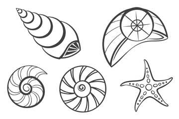 Collection of seashells and starfish isolated on white background, Vector
