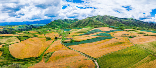 Beautiful agricultural landscape of colorful wheat field and rolling green hill in Xinjiang, China.