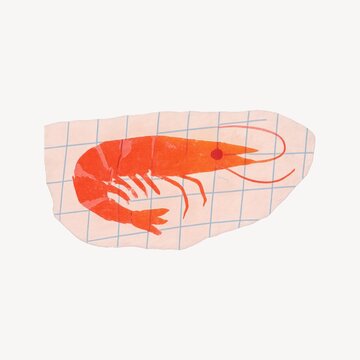 Vibrant shrimp illustration on grid