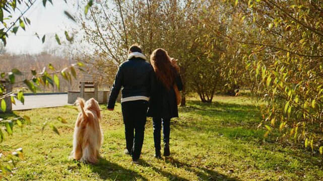 A couple enjoys a peaceful stroll in a scenic park with their golden retriever, surrounded by beautiful autumn foliage and warm sunlight filtering through trees.
