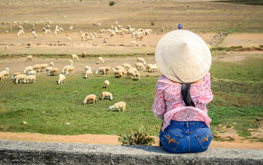 A Vietnamese woman looking at the cattle roam