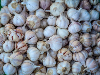Selling garlic at Asian market