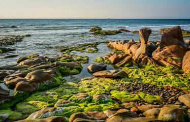 Beautiful rocky and mossy green beach at sunrise